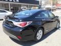 2013 Black Onyx Pearl Hyundai Sonata Hybrid Limited  photo #4