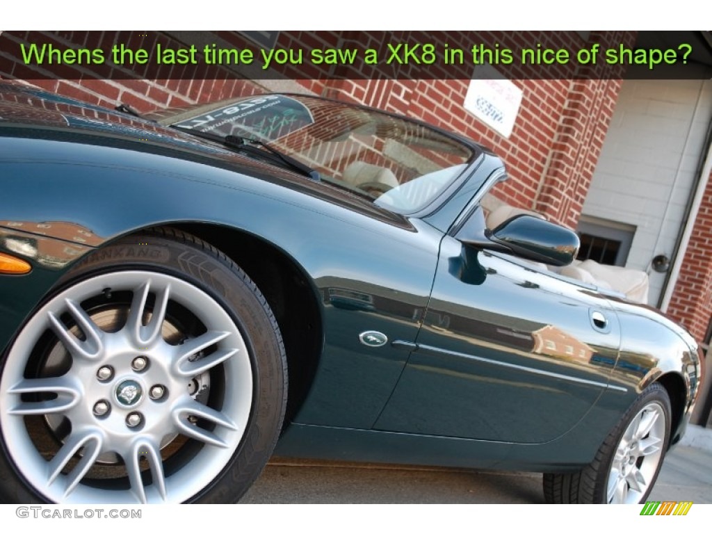 2002 XK XK8 Convertible - British Racing Green / Oatmeal photo #15