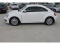 Candy White - Beetle 2.5L Photo No. 4