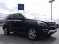 Black - ML 350 BlueTEC 4Matic Photo No. 3