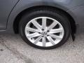 Platinum Gray Metallic - Jetta TDI SportWagen Photo No. 5