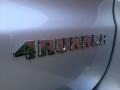 Titanium Metallic - 4Runner SR5 4x4 Photo No. 31