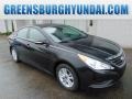 2014 Phantom Black Metallic Hyundai Sonata GLS  photo #1