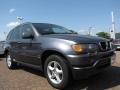 Steel Grey Metallic - X5 3.0i Photo No. 7
