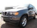 Steel Grey Metallic - X5 3.0i Photo No. 9