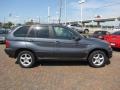 Steel Grey Metallic - X5 3.0i Photo No. 14