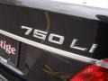 2008 Black Sapphire Metallic BMW 7 Series 750Li Sedan  photo #6
