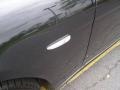 2008 Black Sapphire Metallic BMW 7 Series 750Li Sedan  photo #31