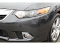 Graphite Luster Pearl - TSX Sedan Photo No. 30