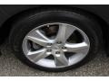 Graphite Luster Pearl - TSX Sedan Photo No. 32