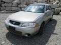 Radium Silver - Sentra XE Photo No. 2