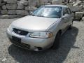 2001 Radium Silver Nissan Sentra XE  photo #2