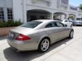 Pewter Metallic - CLS 500 Photo No. 3