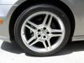 Pewter Metallic - CLS 500 Photo No. 22