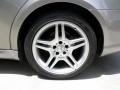 Pewter Metallic - CLS 500 Photo No. 24