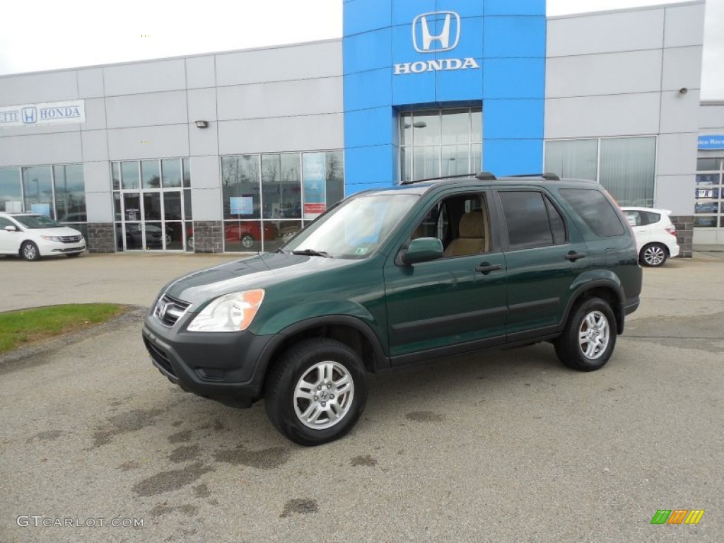 2004 CR-V EX 4WD - Clover Green Pearl / Saddle photo #1