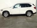 Alpine White - X5 sDrive35i Photo No. 5