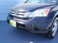 Crystal Black Pearl - CR-V LX 4WD Photo No. 11