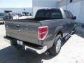 2014 Sterling Grey Ford F150 XLT SuperCrew  photo #6