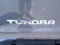 2014 Magnetic Gray Metallic Toyota Tundra SR5 Crewmax 4x4  photo #15