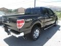 2014 Tuxedo Black Ford F150 XLT SuperCrew 4x4  photo #7