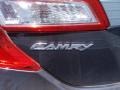 Magnetic Gray Metallic - Camry XLE Photo No. 14