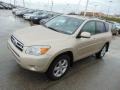 Savannah Metallic 2008 Toyota RAV4 Limited V6 4WD Exterior