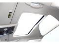 Silver Tempest - Continental Flying Spur  Photo No. 29