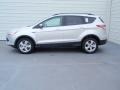 2014 Ingot Silver Ford Escape SE 2.0L EcoBoost  photo #6