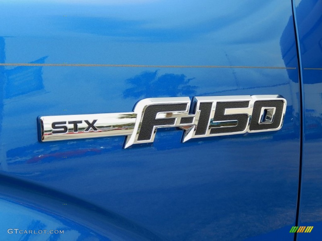 2014 F150 STX SuperCrew - Blue Flame / Steel Grey photo #5