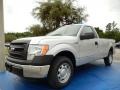 Ingot Silver 2014 Ford F150 XL Regular Cab Exterior