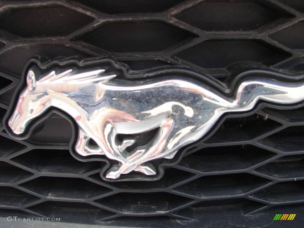 2006 Mustang GT Deluxe Coupe - Tungsten Grey Metallic / Dark Charcoal photo #3