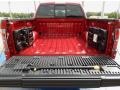 Raptor Special Edition Black/Brick Accent Trunk Photo for 2014 Ford F150 #93044407