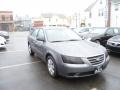 Willow Gray - Sonata GLS Photo No. 1