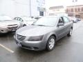 Willow Gray - Sonata GLS Photo No. 3