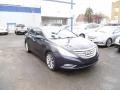 2011 Pacific Blue Pearl Hyundai Sonata SE  photo #1