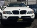 Alpine White - X5 3.0i Photo No. 2