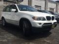 Alpine White - X5 3.0i Photo No. 3