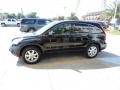 2009 Crystal Black Pearl Honda CR-V EX-L  photo #5