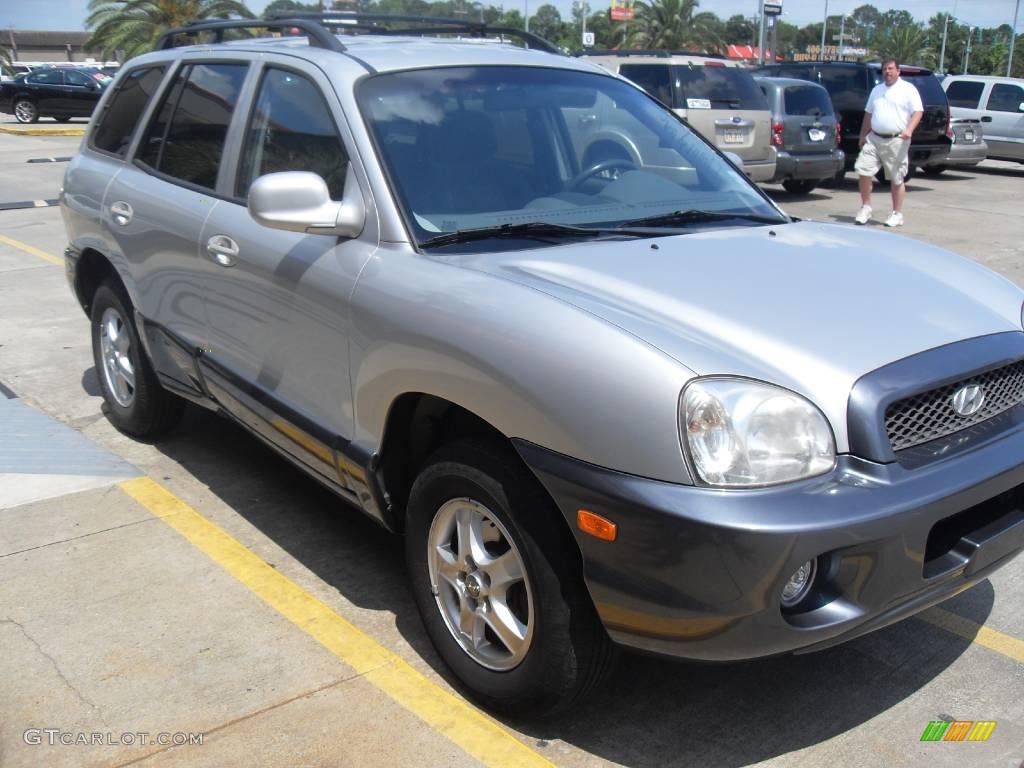 2003 Santa Fe GLS - Pewter / Gray photo #6