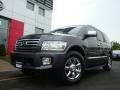 2005 Silver Graphite Gray Infiniti QX 56 4WD  photo #4