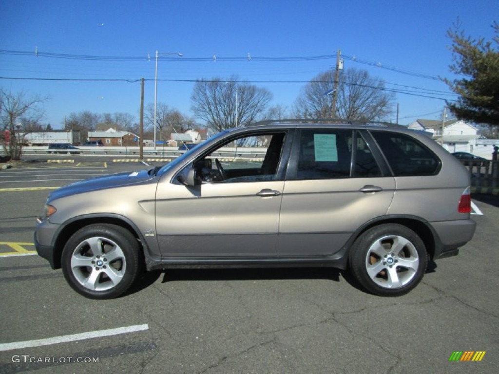 2004 X5 4.4i - Kalahari Beige Metallic / Black photo #3