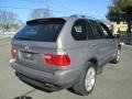 2004 Kalahari Beige Metallic BMW X5 4.4i  photo #7