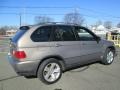 2004 Kalahari Beige Metallic BMW X5 4.4i  photo #8