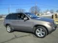 2004 Kalahari Beige Metallic BMW X5 4.4i  photo #10