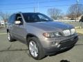 2004 Kalahari Beige Metallic BMW X5 4.4i  photo #11