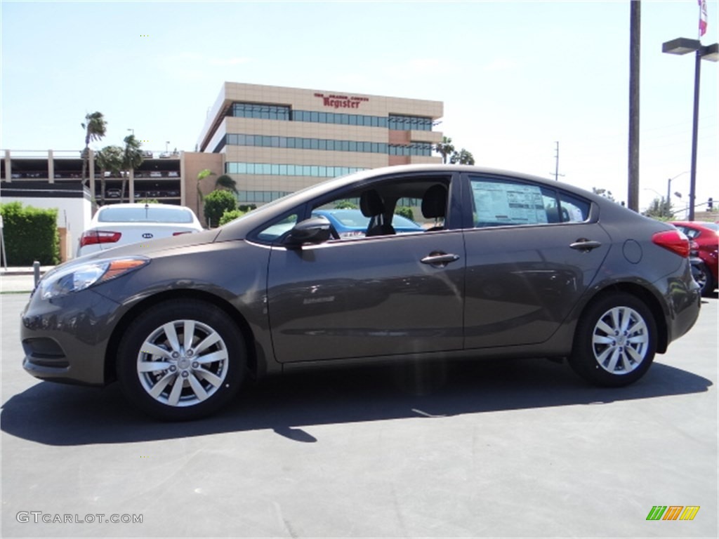 2014 Forte LX - Desert Sand / Black photo #5