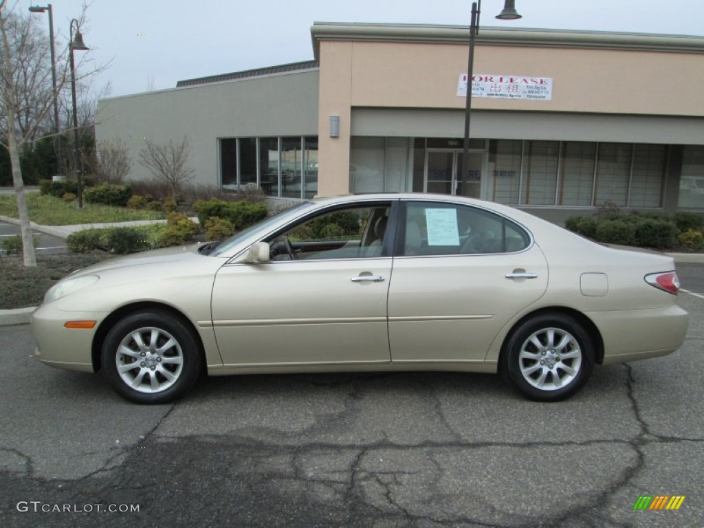 2003 ES 300 - Mystic Gold Metallic / Ivory photo #3