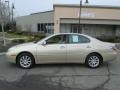 Mystic Gold Metallic - ES 300 Photo No. 3