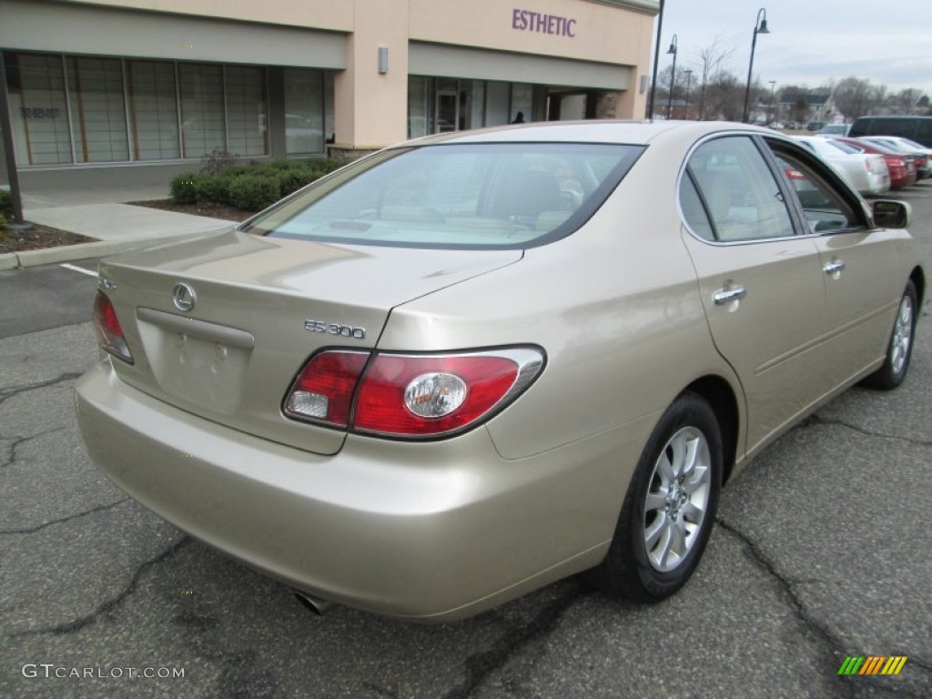2003 ES 300 - Mystic Gold Metallic / Ivory photo #7